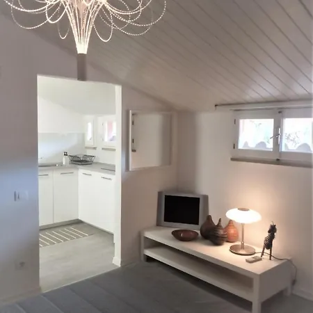 La Mansarda Vicino Stazione Apartment *